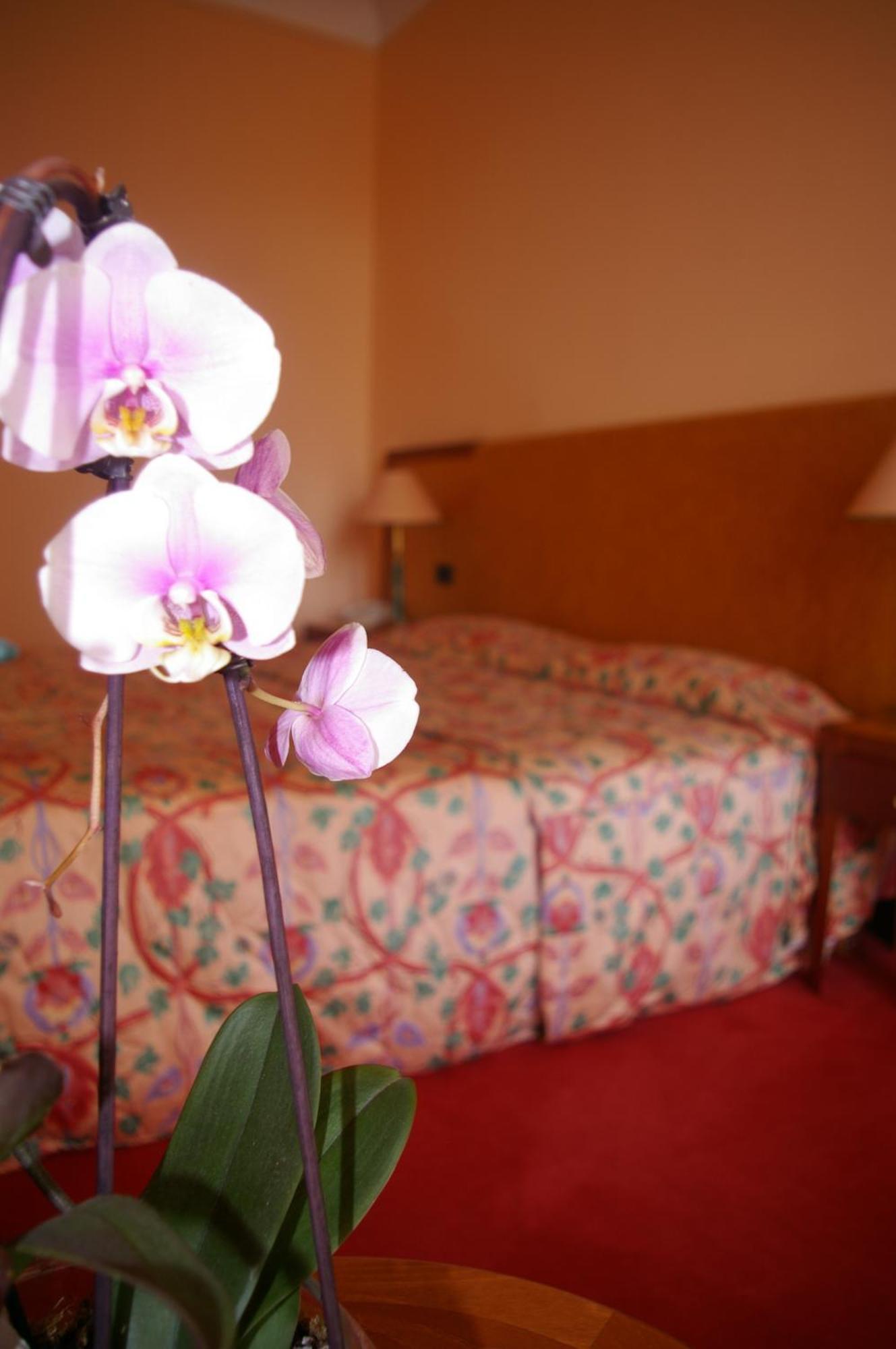 Hotel Aletti Palace Виши Экстерьер фото